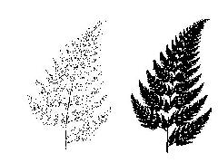 Fractal Fern