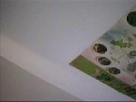 Worst of My Webcam 3