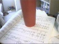 Worst of My Webcam 7